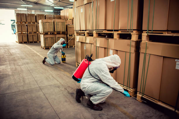 Best Affordable Pest Control Services  in Pinckney, MI