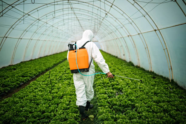 Best Best Pest Control Companies  in Pinckney, MI