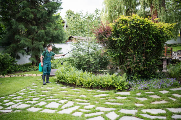 Best Cockroach Control Services  in Pinckney, MI