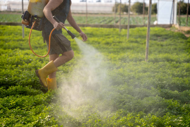 Best Pest Inspection Near Me  in Pinckney, MI