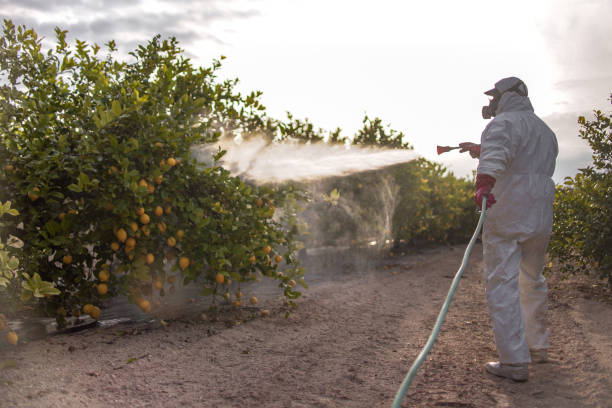 Best Rat Extermination Near Me  in Pinckney, MI