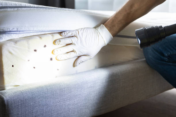Best Cockroach Control Services  in Pinckney, MI