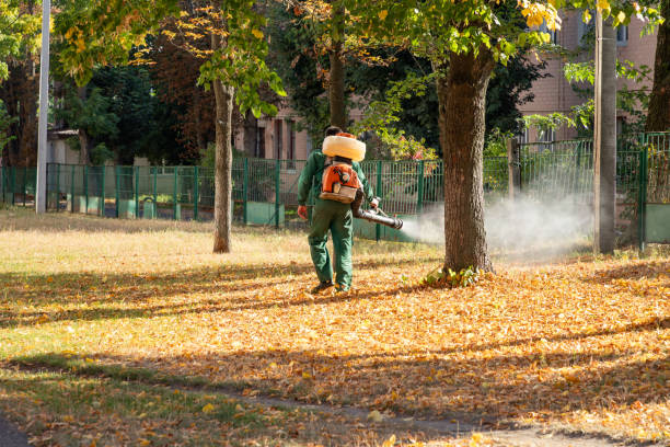 Best Spider Control Near Me  in Pinckney, MI
