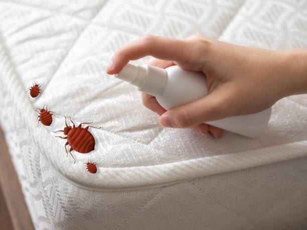 Best Best Pest Control Companies  in Pinckney, MI