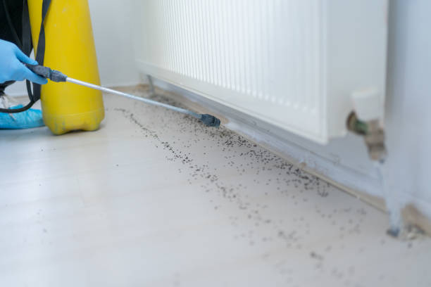 Best Flea Control Services  in Pinckney, MI