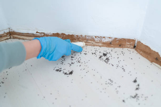 Best Pest Prevention Services  in Pinckney, MI