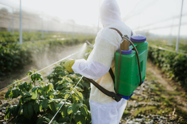 Best Local Pest Control Services  in Pinckney, MI